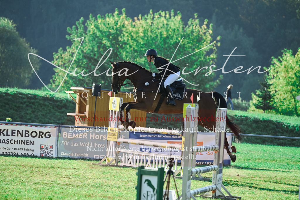 DSC_4514 | Pferde- und Turnierfotografie in Westsachsen. Pferdeportraits, Auftragszeichnungen und intuitive Kunst.