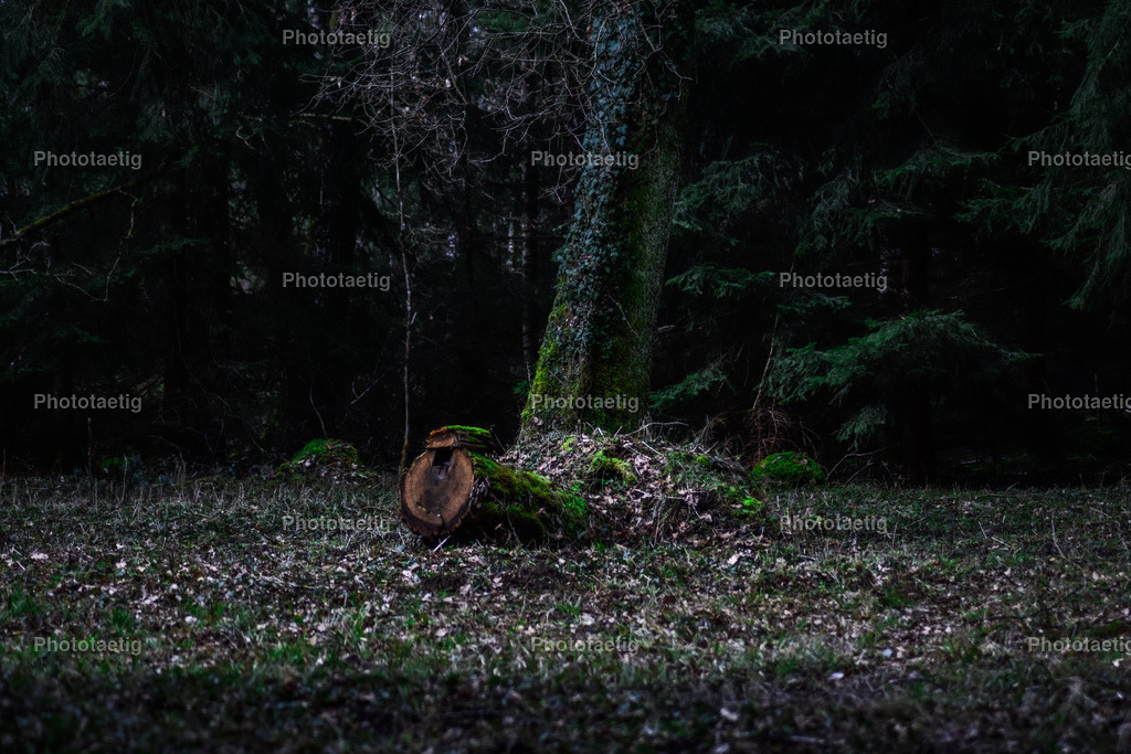 IMG_8422 | phototaetig