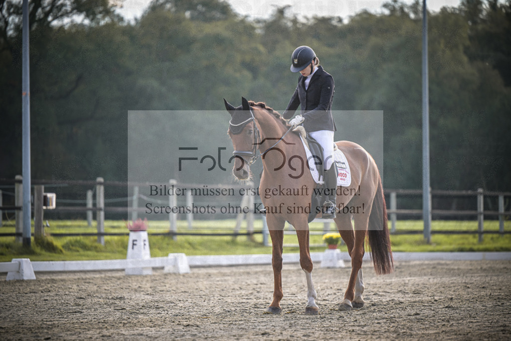 DOS_3175 | Entdecke hochwertige Reitturnierfotos von Foto Oger. Professionell, emotional und authentisch – jetzt Lieblingsmomente im Shop bestellen.Deutschlandweite Turnierfotografie. - Realisiert mit Pictrs.com