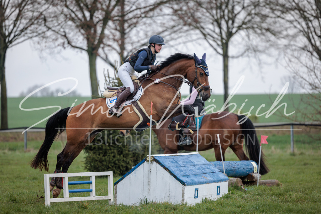 20260329-_3LI3926 | Tierfotografie Pferde, Hunde, Katzen, Haustiere.
Turnierfotografie Reitturniere, Reiten, Springreiten, Dressur in Hanau, dem Main-Kinzig-Kreis und dem Rhein-Main- Gebiet um Frankfurt