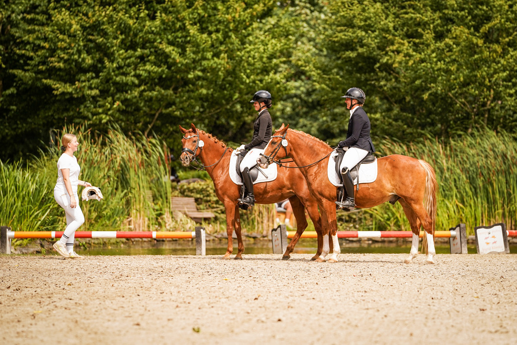 DSC02166 | Pferdegrafie