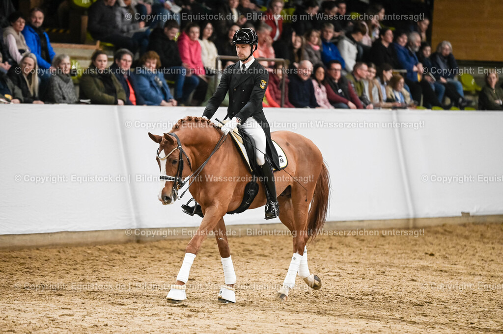 20260307_Hengstvorstellung-Marbach_0329 | equistock