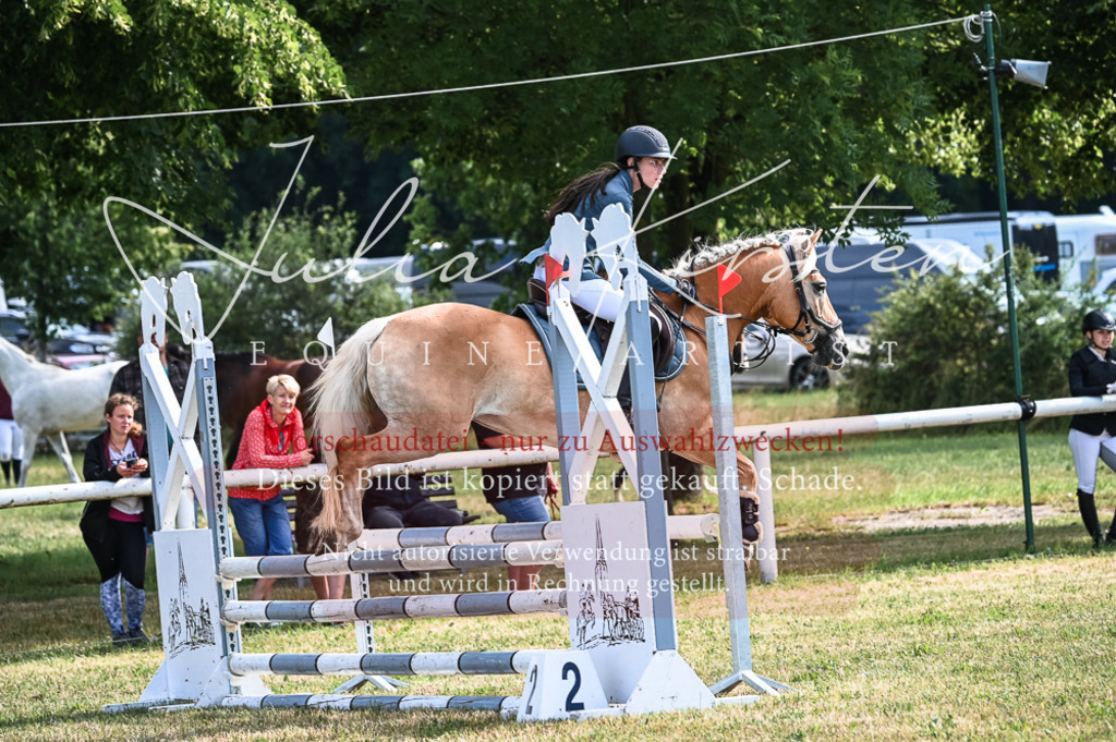 DSC_7927 | Pferde- und Turnierfotografie in Westsachsen. Pferdeportraits, Auftragszeichnungen und intuitive Kunst.