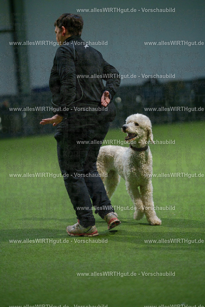 7R509934 | Professionelle Tierfotografie in Mönchengladbach von Daniel Wirth (allesWIRTHgut). Liebevolle & natürliche Bilder von Hunden & Katzen für unvergessliche Erinnerungen.