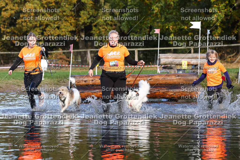 Dog Paparazzi - Strongdog 10-25-8569 | Dog Paparazzi Jeanette Grottendiek Fotografie & Videografie - Realisiert mit Pictrs.com