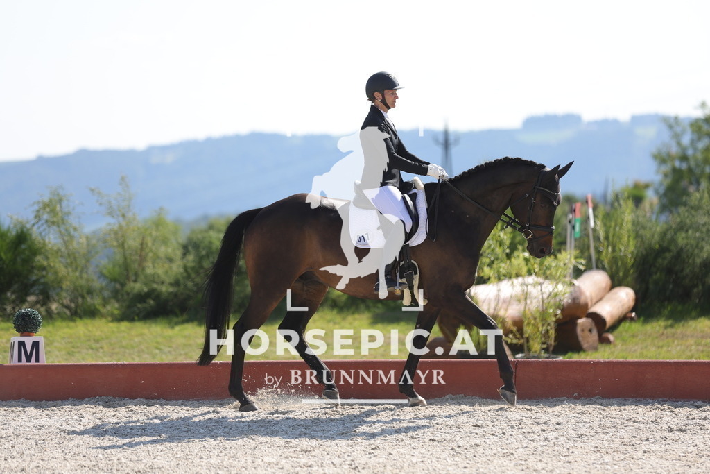 0P6A8304 | Willkommen bei Brunnmayr - Design & Fotografie – Ihrem Spezialisten für Reitturniere und Pferdeveranstaltungen in Oberösterreich, Salzburg und Bayern! Seit über 17 Jahren sind wir leidenschaftlich dabei.