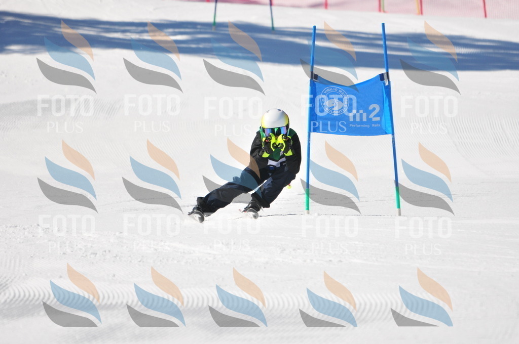 C3886 | holidayphoto