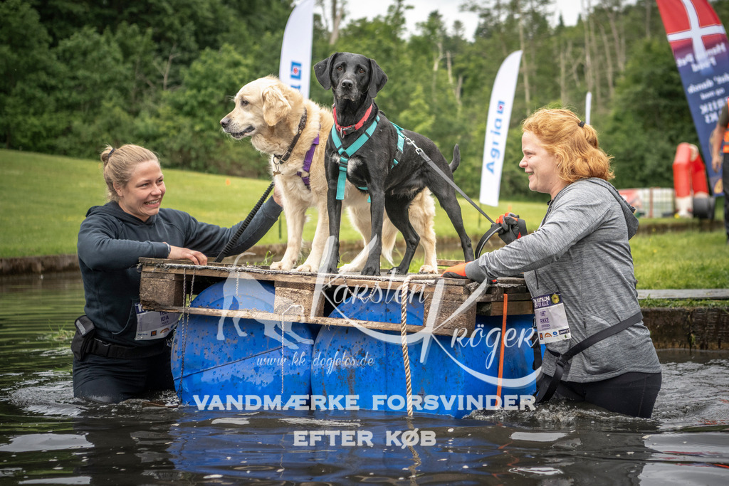 1014_ZZ95334 | kk-dogfotos