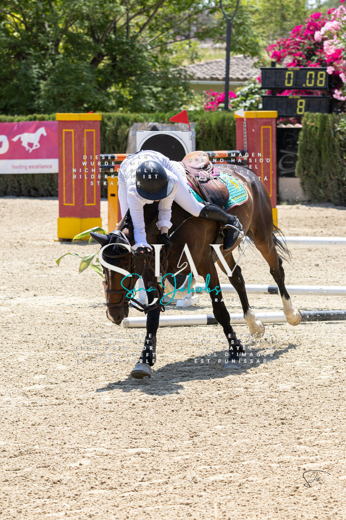 IMG_7411 | s-jay-photography - Realisiert mit Pictrs.com