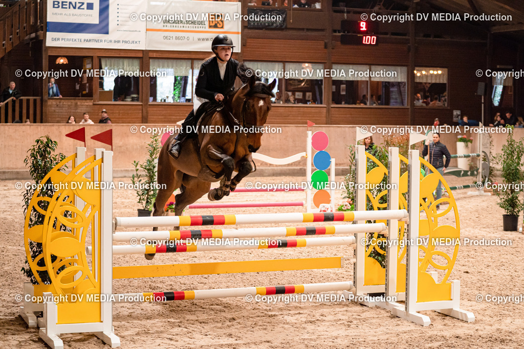 Springen Tag 2-603 | dv-media-shop - Realisiert mit Pictrs.com