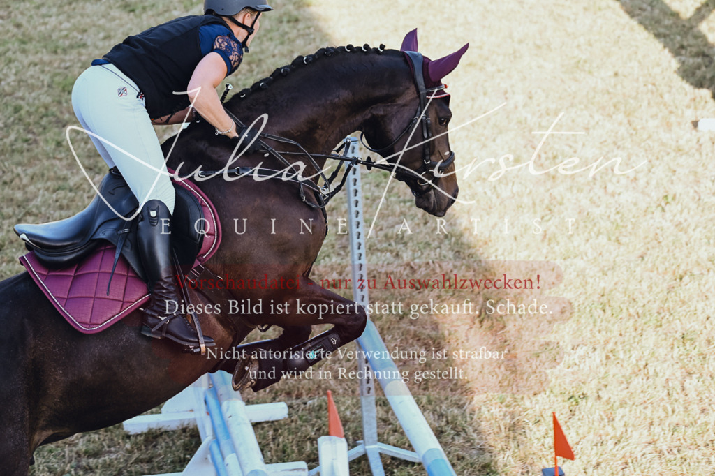DSC_3254 | Pferde- und Turnierfotografie in Westsachsen. Pferdeportraits, Auftragszeichnungen und intuitive Kunst.