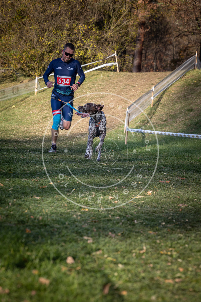 CaniXpix_0L8A8955 | Hundefotografie, Tierfotograf, Pfotenfotografie, Fotoshooting Hund, Hunde Portrait, Hundesport, Hundeportraits, Heideshooting, Hunde, Sportfotograf, Hundefotograf, Turnierhundsport, THS,  - Realisiert mit Pictrs.com