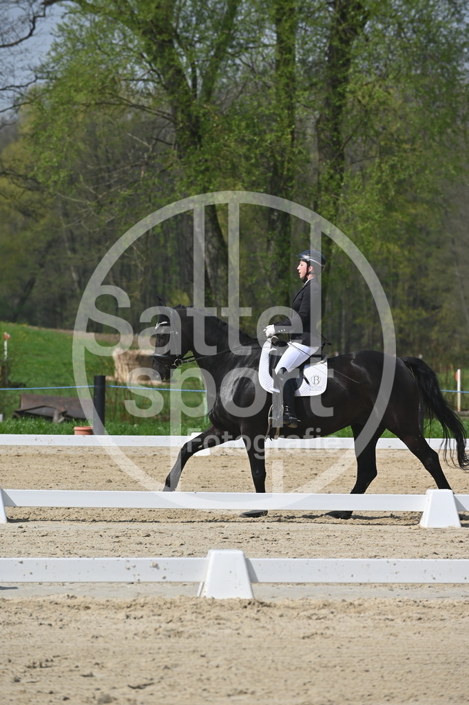 DSC_1141 | sattelsport - Realisiert mit Pictrs.com