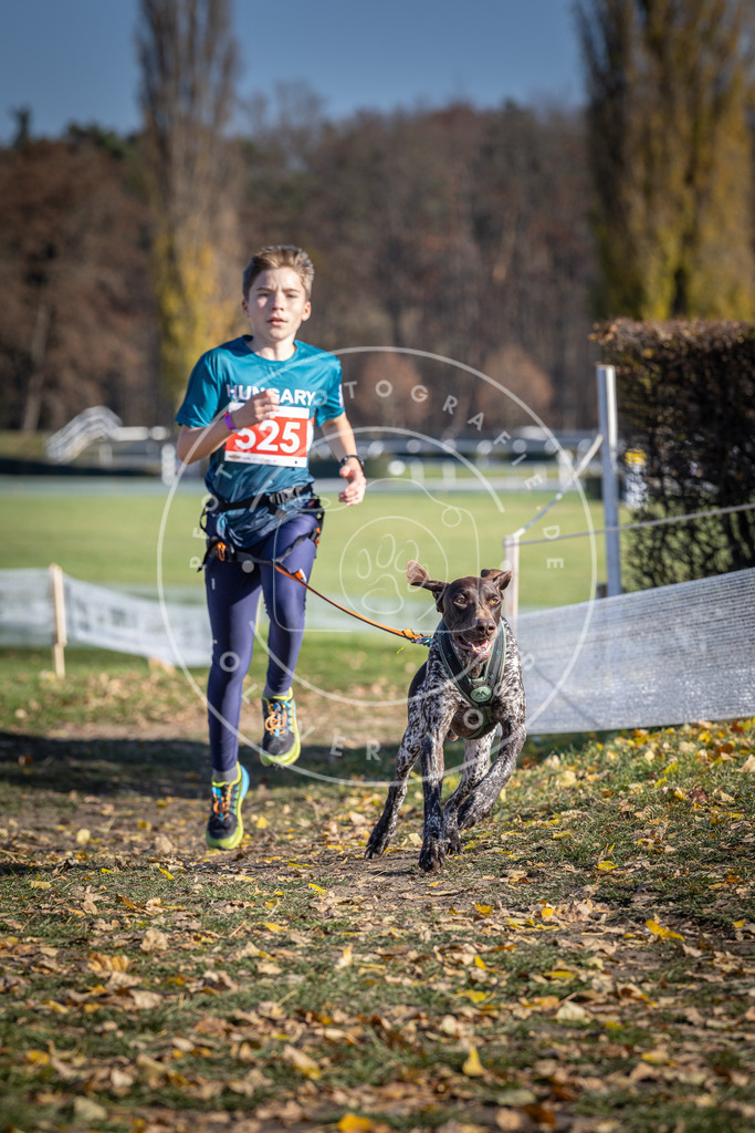 CaniXpix_DV3A8175 | Hundefotografie, Tierfotograf, Pfotenfotografie, Fotoshooting Hund, Hunde Portrait, Hundesport, Hundeportraits, Heideshooting, Hunde, Sportfotograf, Hundefotograf, Turnierhundsport, THS,  - Realisiert mit Pictrs.com