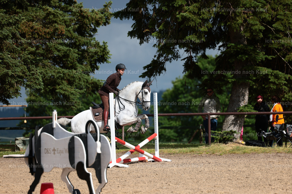 KlasseL_Stoibphotography_CAM23429.JPG | working equitationturnier fotograf videograf stoibphotography marixx film working equitation deutschland reitsport turnierfotografie eventfotografie equestrian events