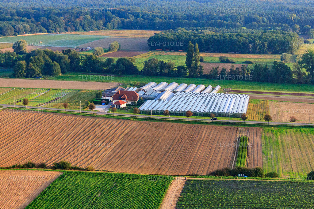 Luftbild: Sandhof mit Gärtnerei Rothenbücher in Herxheim bei Landau im Bundesland Rheinland-Pfalz in Deutschland. Foto: IMG_59955.jpg vom 27.09.2013 durch Werner Riehm/FLY-FOTO.de