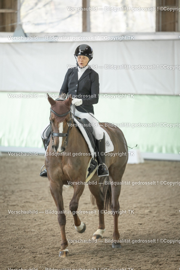 _D5A1208 | Emotionale Pferde- & People-Fotografie rund um Heidelberg, Leimen & Umgebung. Natürliche Fotos von Pferd, Mensch & Familie. Jetzt Termin sichern!