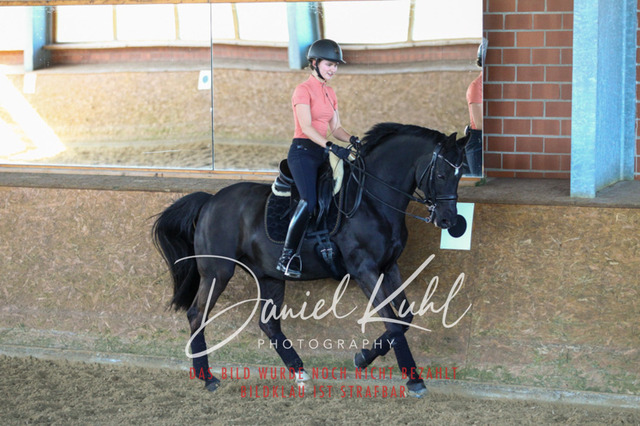 DKP42314 | Turniersportfotografie; Pferdefotografie; Dressurfotografie