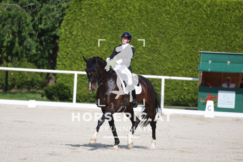 0P6A6723 | Willkommen bei Brunnmayr - Design & Fotografie – Ihrem Spezialisten für Reitturniere und Pferdeveranstaltungen in Oberösterreich, Salzburg und Bayern! Seit über 17 Jahren sind wir leidenschaftlich dabei.