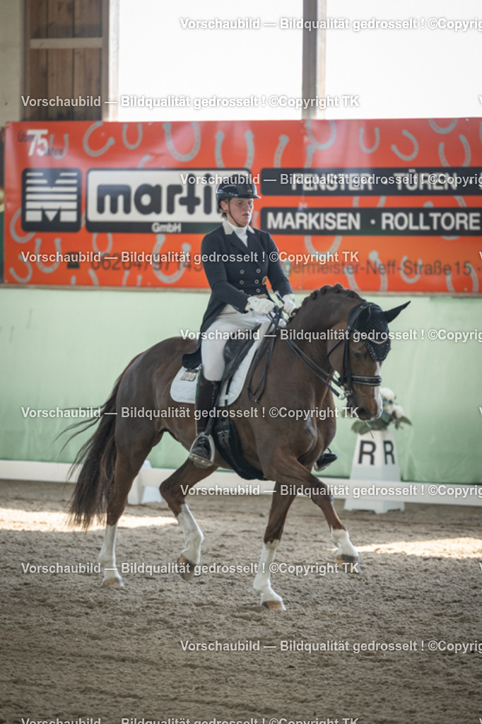 _D5A9374 | Emotionale Pferde- & People-Fotografie rund um Heidelberg, Leimen & Umgebung. Natürliche Fotos von Pferd, Mensch & Familie. Jetzt Termin sichern!