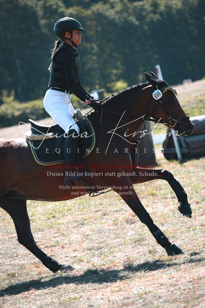 DSC_8173 | Pferde- und Turnierfotografie in Westsachsen. Pferdeportraits, Auftragszeichnungen und intuitive Kunst.