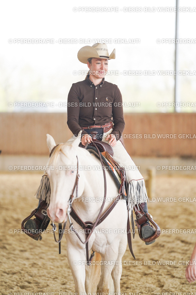 DSC02245 | Pferdegrafie