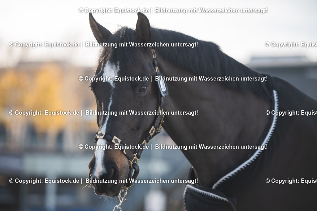 20251113_Raphael-Netz_TOMSPIC_0003 | Foto: Thomas Hartig