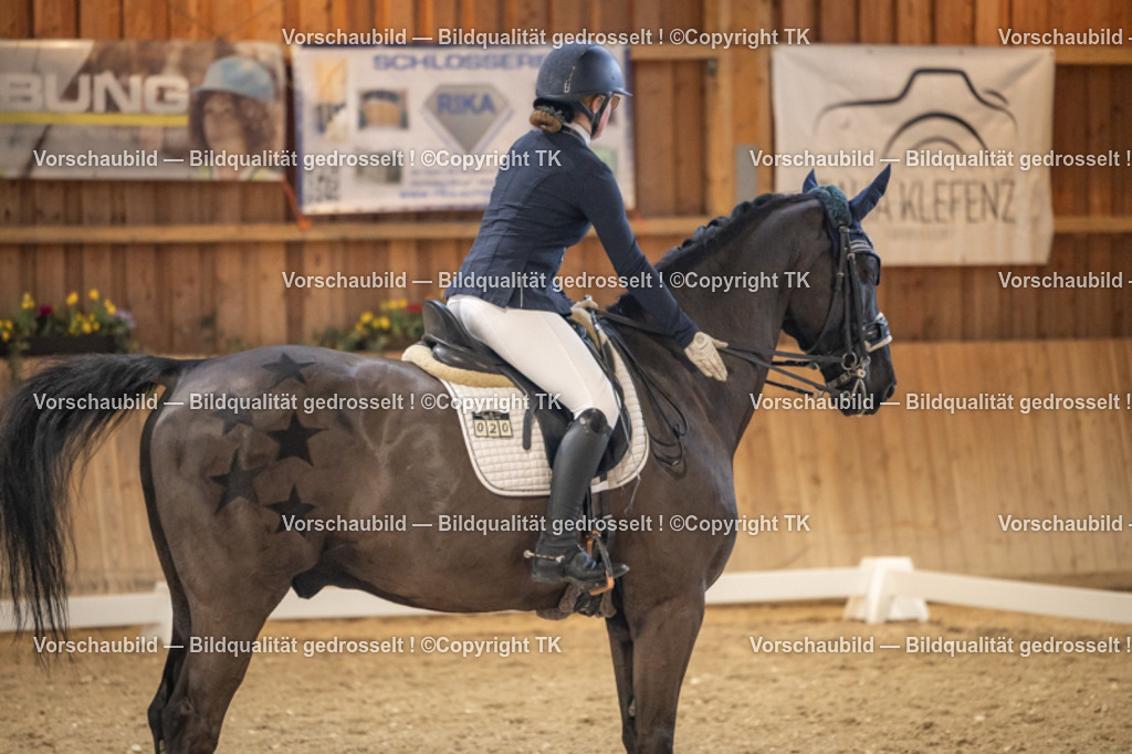 _D5A9560 | Emotionale Pferde- & People-Fotografie rund um Heidelberg, Leimen & Umgebung. Natürliche Fotos von Pferd, Mensch & Familie. Jetzt Termin sichern!