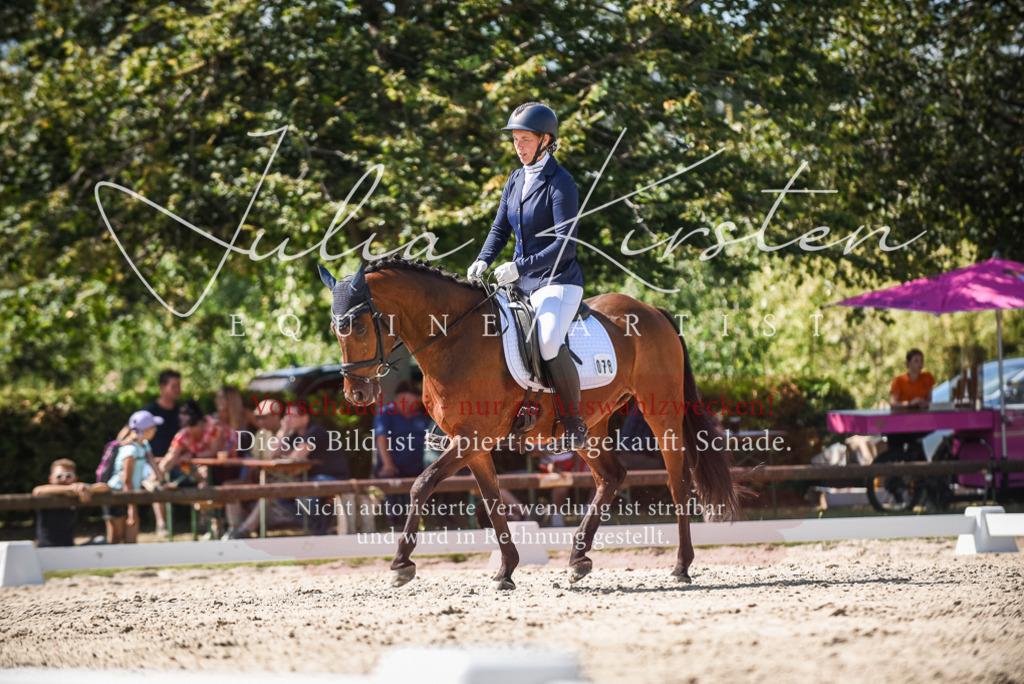 DSC_9463 | Pferde- und Turnierfotografie in Westsachsen. Pferdeportraits, Auftragszeichnungen und intuitive Kunst.