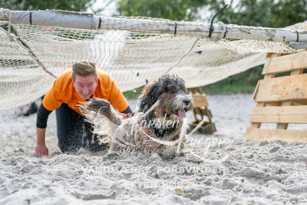 1233_ZZ91791 | kk-dogfotos