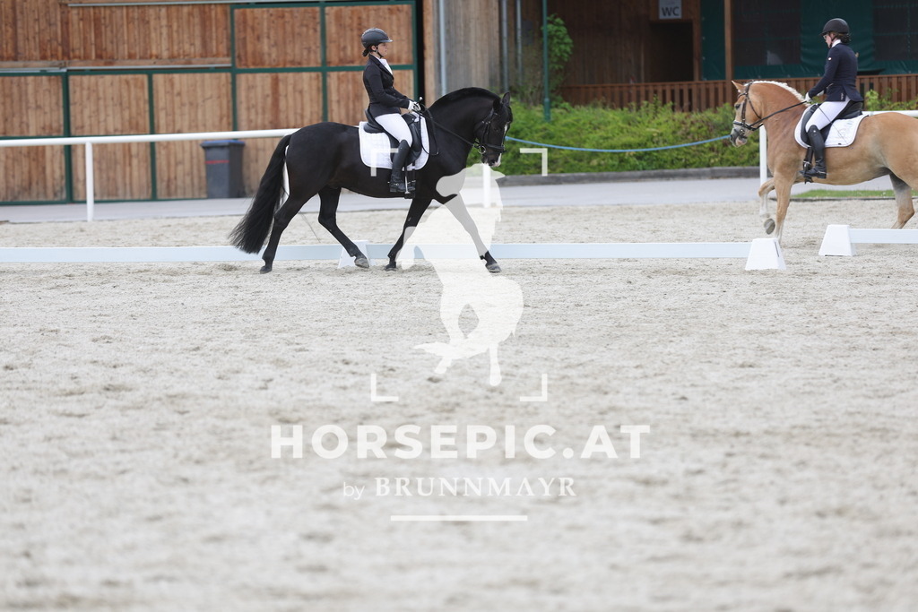 0P6A1291 | Willkommen bei Brunnmayr - Design & Fotografie – Ihrem Spezialisten für Reitturniere und Pferdeveranstaltungen in Oberösterreich, Salzburg und Bayern! Seit über 17 Jahren sind wir leidenschaftlich dabei.