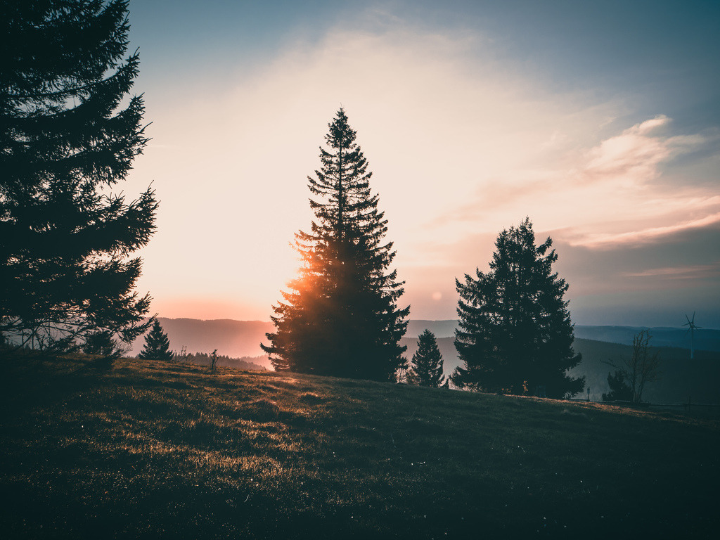 Black Forest Mood | Morgenstimmung im Schwarzwald - Realisiert mit Pictrs.com