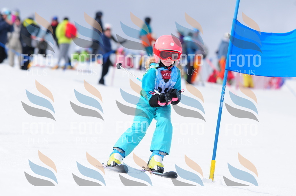 A3774 | holidayphoto