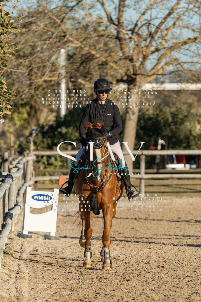 IMG_2485 | s-jay-photography - Realisiert mit Pictrs.com