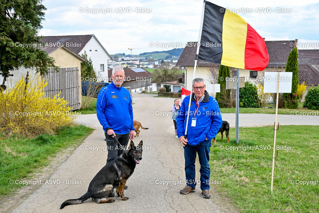 ASVÖ_ Tracking Dog World Championship 2025_ 05.04.2025-113 | bilder.asvo-sport - Realisiert mit Pictrs.com