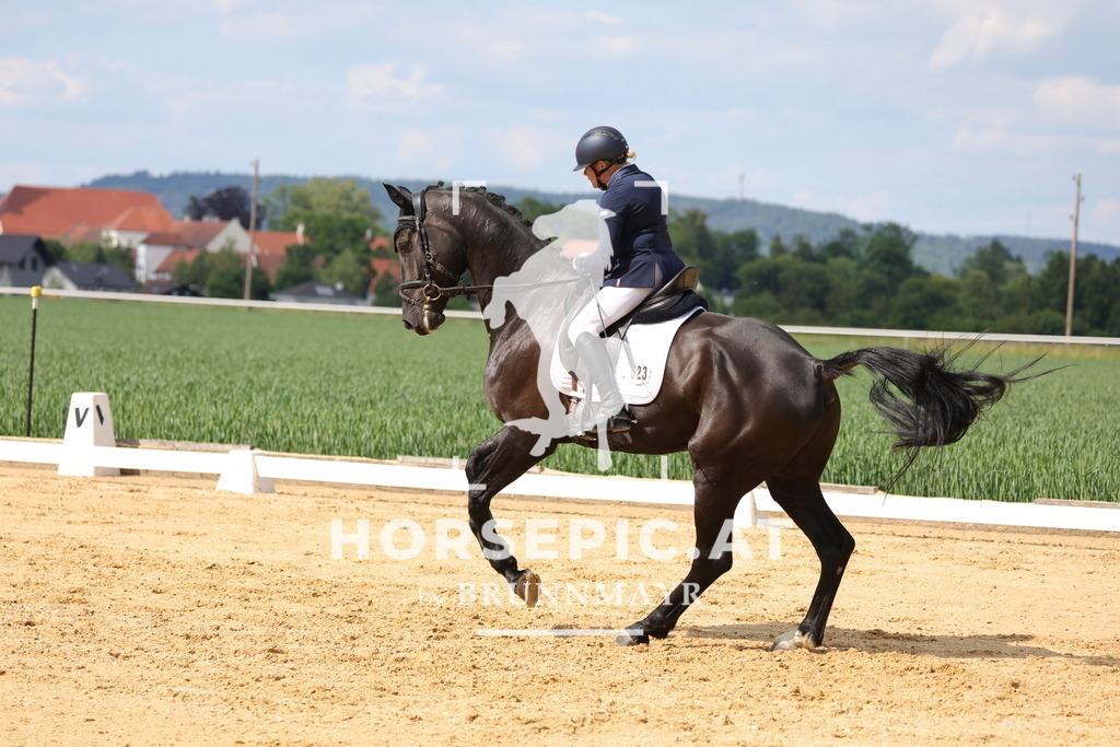 0P6A9105 | Willkommen bei Brunnmayr - Design & Fotografie – Ihrem Spezialisten für Reitturniere und Pferdeveranstaltungen in Oberösterreich, Salzburg und Bayern! Seit über 17 Jahren sind wir leidenschaftlich dabei.