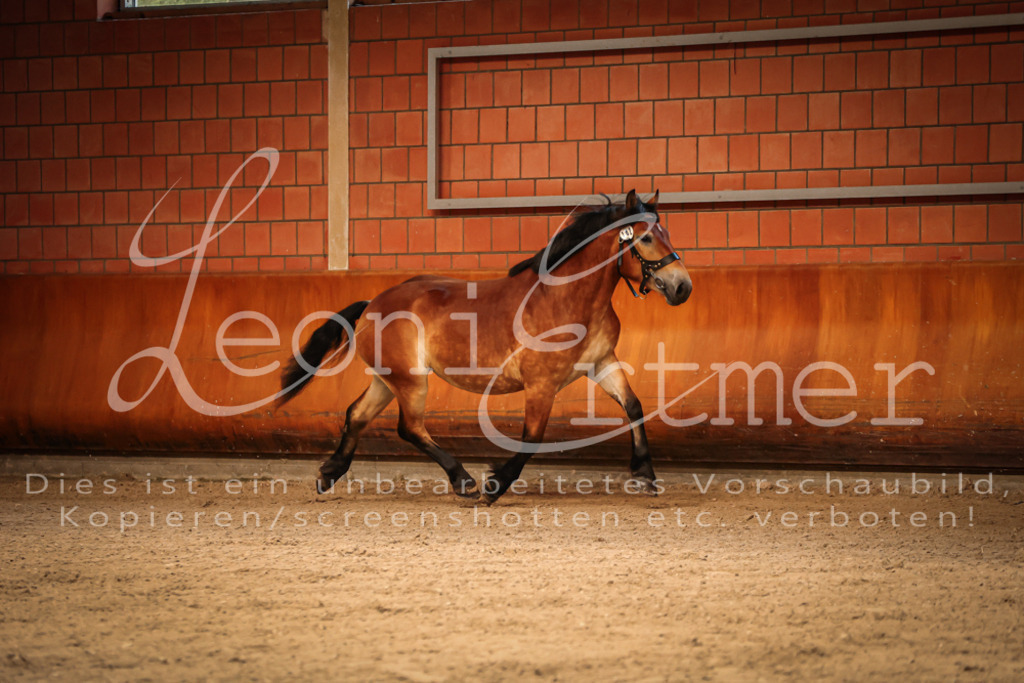 SaFL00091 | Leoni Ertmer Photography - Realisiert mit Pictrs.com