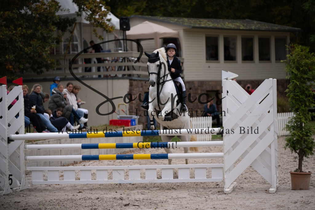 A7V09551 | Pferdefotograf