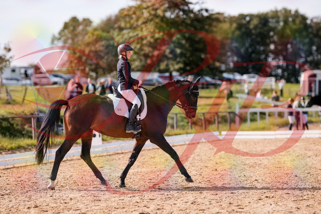 2026_10_03_Siefer-Hof_133825_Z81_96071748 | Professionelle Reitsport-, Turnier- und Eventfotografie von Robert Broda. Galerien mit ausgewählten und bearbeiteten Bildern direkt online ansehen und bestellen.