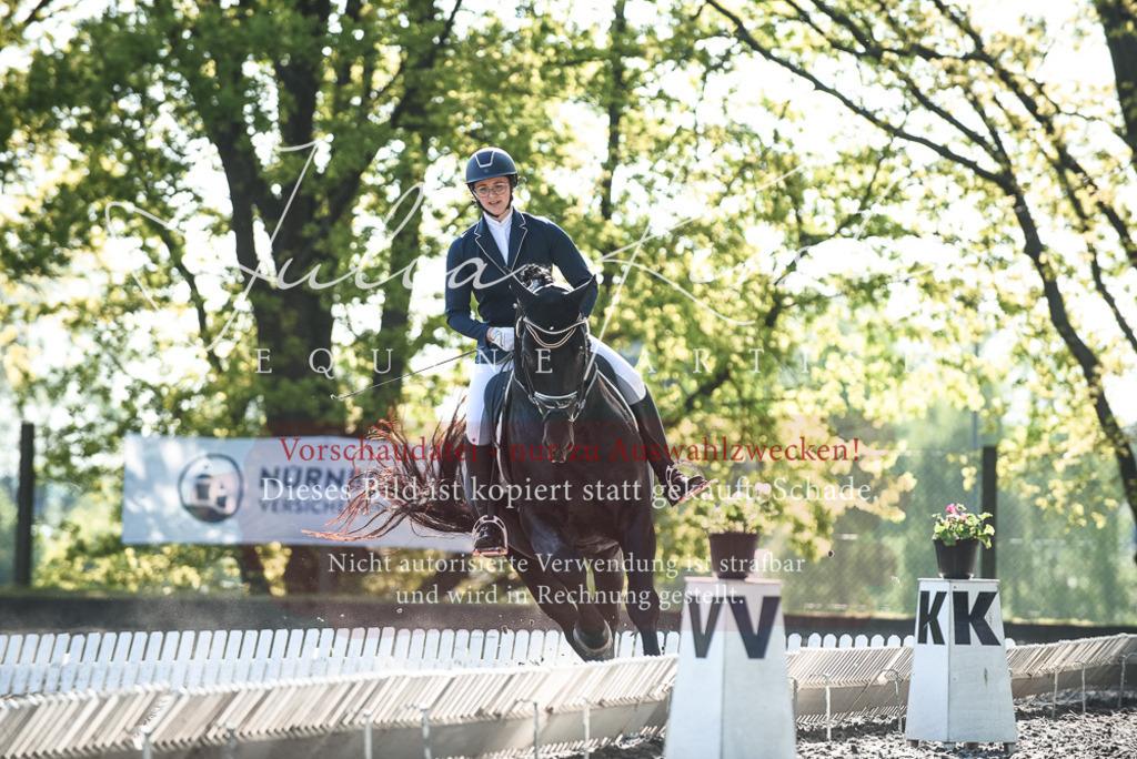 DSC_8496 | Pferde- und Turnierfotografie in Westsachsen. Pferdeportraits, Auftragszeichnungen und intuitive Kunst.