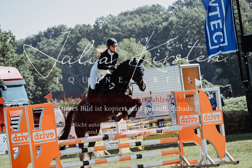 DSC_5766 | Pferde- und Turnierfotografie in Westsachsen. Pferdeportraits, Auftragszeichnungen und intuitive Kunst.
