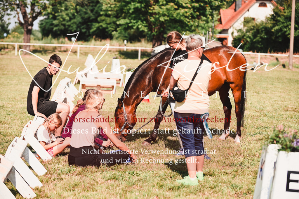 DSC_7325 | Pferde- und Turnierfotografie in Westsachsen. Pferdeportraits, Auftragszeichnungen und intuitive Kunst.