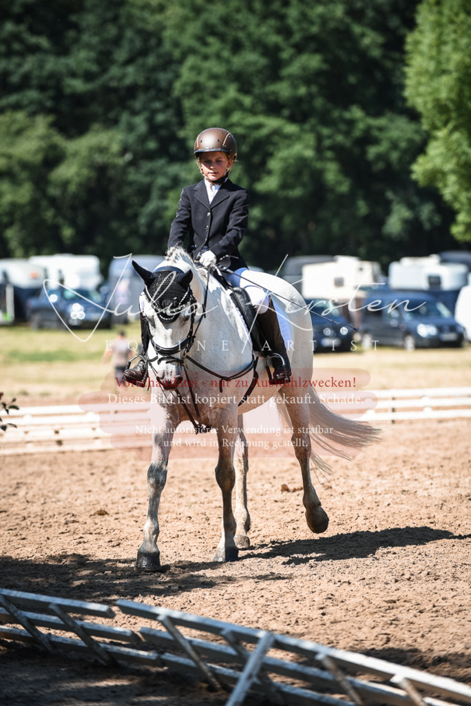 DSC_3614 | Pferde- und Turnierfotografie in Westsachsen. Pferdeportraits, Auftragszeichnungen und intuitive Kunst.