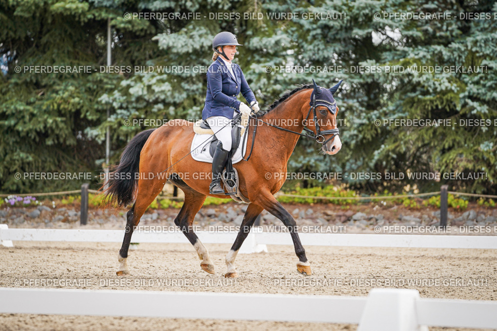 DSC02282 | Pferdegrafie