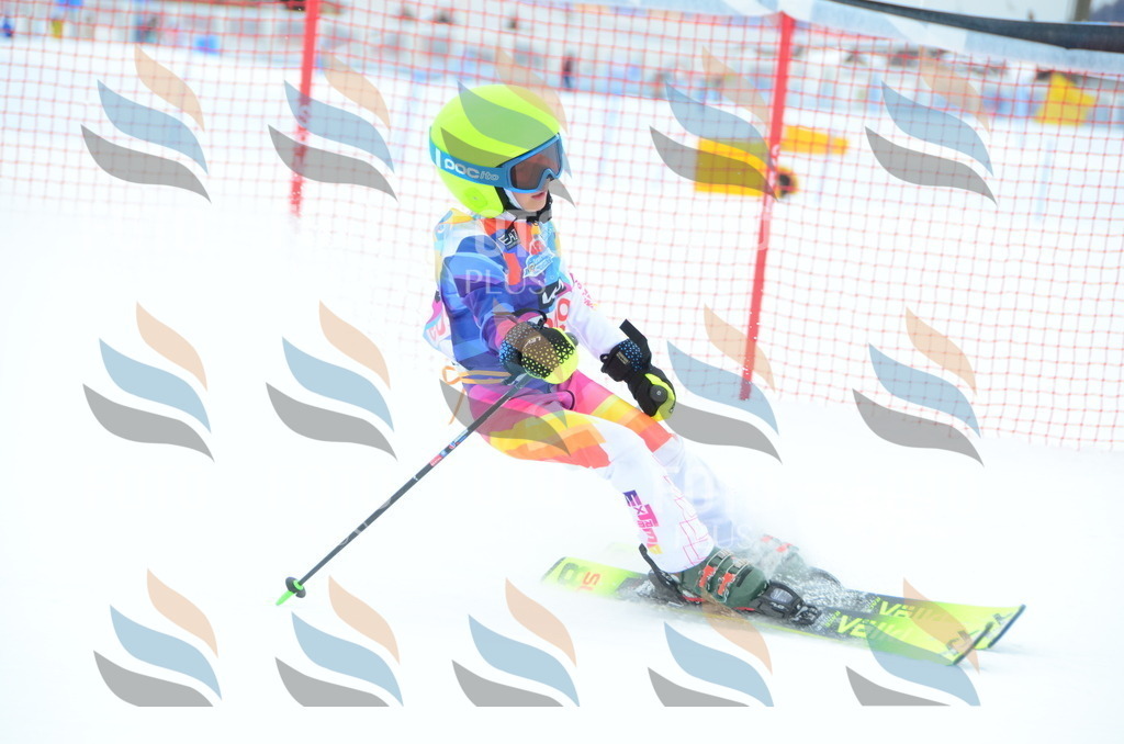 DSC_1877 | holidayphoto