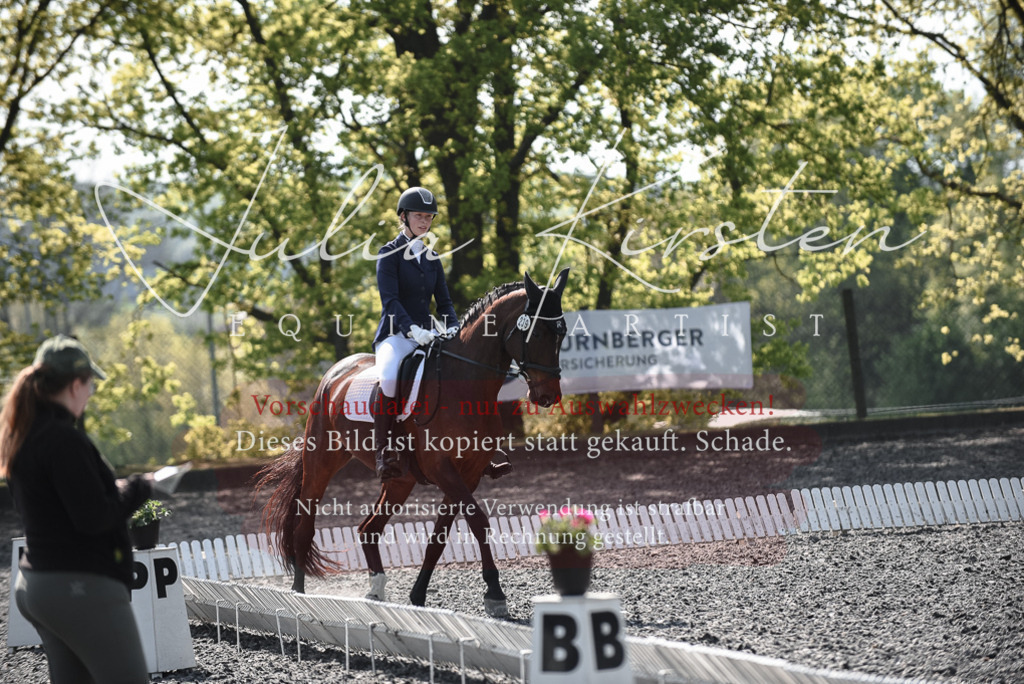 20230513_JK-Röhrsdorf-14-272 | Pferde- und Turnierfotografie in Westsachsen. Pferdeportraits, Auftragszeichnungen und intuitive Kunst.