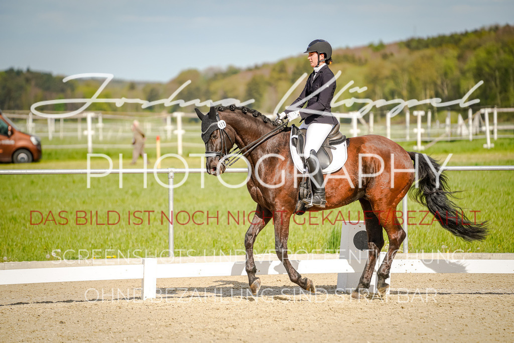 DSC00008 | Joshua Klöppel Photography