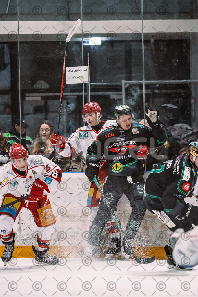Alligators_vs_Deggendorf_23_01_2026-15 | Höchstadt Alligators Fotogalerie: Eishockey-Action aus Franken. Professionelle Spielfotos, Portraits & Stadionbilder zum Download. Jetzt entdecken! - Realisiert mit Pictrs.com