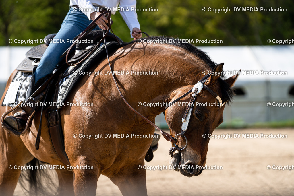 Heiligenwald Tag 2-1078 | dv-media-shop - Realisiert mit Pictrs.com