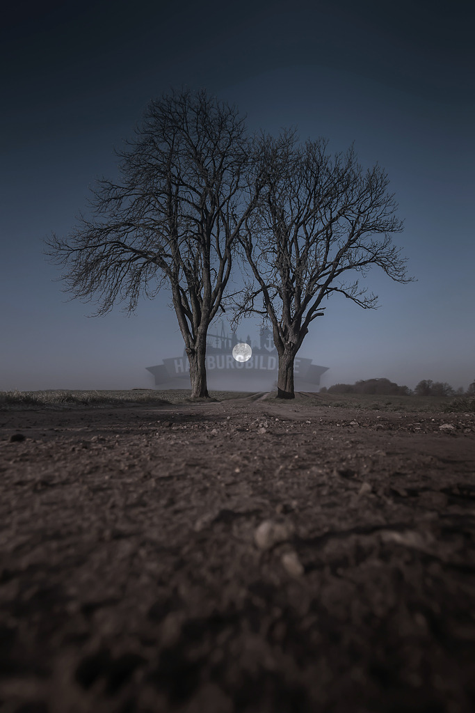 stativkunst-20 | Exklusive Hamburg collagen, tolle Segelbilder und viele weitere tolle Motive auf Leinwand, Poster, Alu-Dibond, u.v.m. findet Ihr bei uns auf hamburgbild.de. Findet Euer Wandbild für Euer Zuhause, Büro oder die  Praxis…. - Realisiert mit Pictrs.com